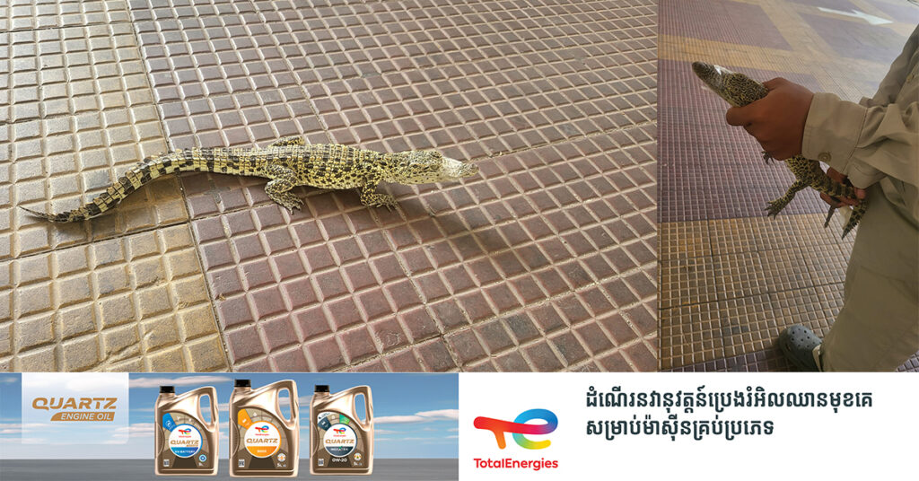 ផ្អេីលពេញសាកលវិទ្យាល័យភូមិន្ទភ្នំពេញ! ចាប់បានកូនក្រពេីមួយក្បាល សង្ស័យមានមនុស្សយកមកព្រលែងនៅក្នុងស្រះសាកលវិទ្យាល័យ