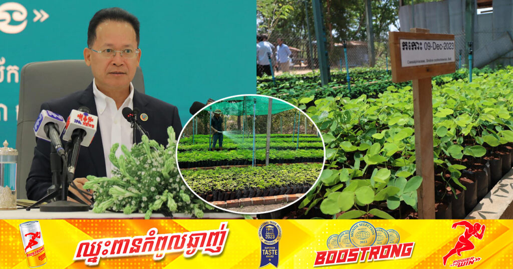 កម្ពុជា រៀបចំពិព័រណ៍«ពន្លកបៃតង» និងចែកដើមឈើយ៉ាងតិច១លានដើមជូនប្រជាពលរដ្ឋយកទៅដាំនៅថ្ងៃទី១០-១៦ ខែកក្កដាខាងមុខ