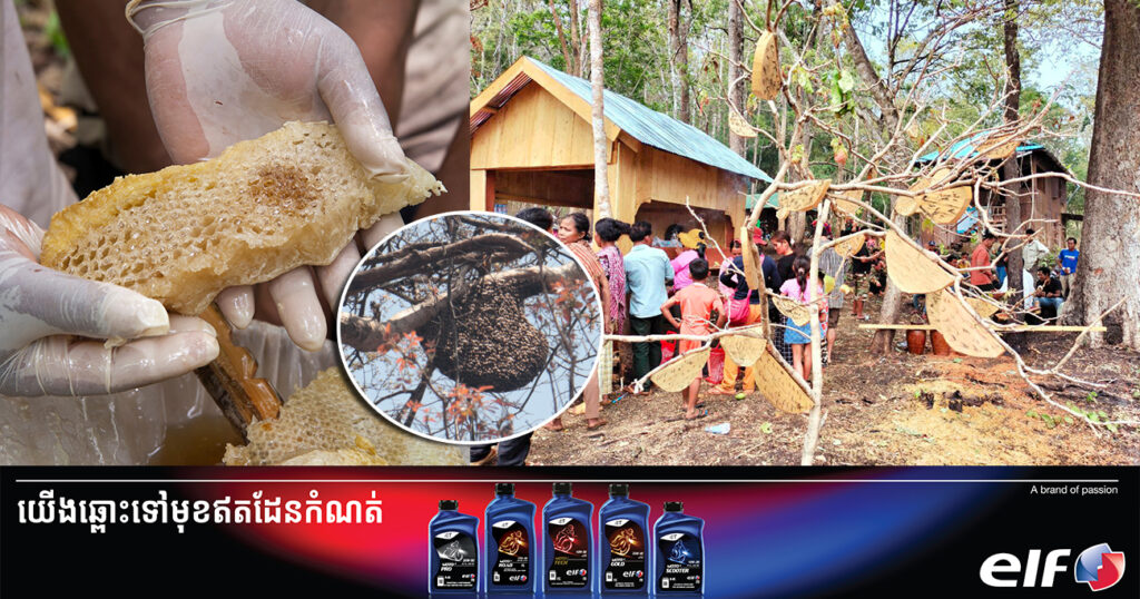 ការប្រមូលផលទឹកឃ្មុំព្រៃ៖ ប្រែក្លាយកំណប់ធម្មជាតិទៅជាប្រភពចំណូលគាំទ្រជីវភាពសហគមន៍ និងគាំទ្រការងារអភិរក្ស