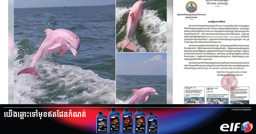 រដ្ឋបាលជលផលស្នើដល់អ្នកបង្ហោះរូបសត្វផ្សោតឃ្លៀចនៅសមុទ្រកម្ពុជា ដើម្បីអោយលុបវាចេញ ពីព្រោះប្រើប្រាស់រូបភាពផ្សោតខុសពីរូបភាពពិតរបស់សត្វផ្សោតឃ្លៀចខ្មែរ