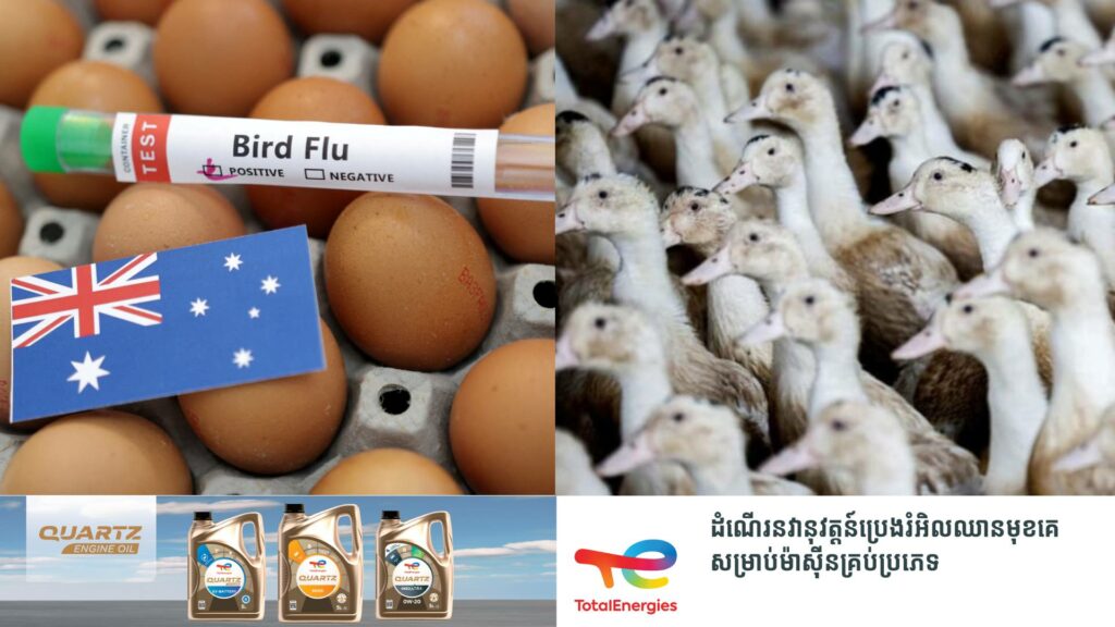 ជំងឺផ្តាសាយបក្សីបន្តរាតត្បាតដល់កសិដ្ឋានចិញ្ចឹមទានៅអូស្រ្តាលី ខណៈអាជ្ញាធរគ្រោងកម្ចាត់សត្វមាន់ ២២លានក្បាលនៅក្នុងសប្តាហ៍នេះ