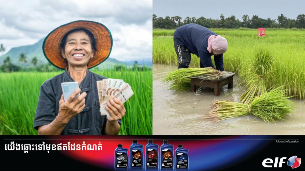 ថៃគ្រោងបញ្ចេញសាច់ប្រាក់ជាង ៨០០លានដុល្លារដើម្បីជួយឧបត្ថម្ភដល់កសិករជាង ៤លានគ្រួសារសម្រាប់យកទៅទិញជីមកធ្វើស្រែ