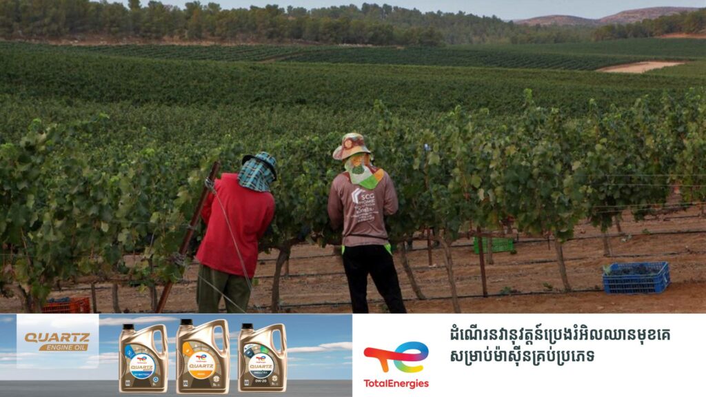 ថៃ ផ្តើមបញ្ជូនពលរដ្ឋទៅធ្វើការនៅអ៊ីស្រាអែលជាថ្មី ខណៈនាពេលកន្លងមានពលករថៃ ៣៩នាក់បានបាត់បង់ជីវិតដោយសារសង្គ្រាមនៅទីនោះ និង៣២នាក់ត្រូវក្រុមហាម៉ាសចាប់ធ្វើជាចំណាប់ខ្មាំង