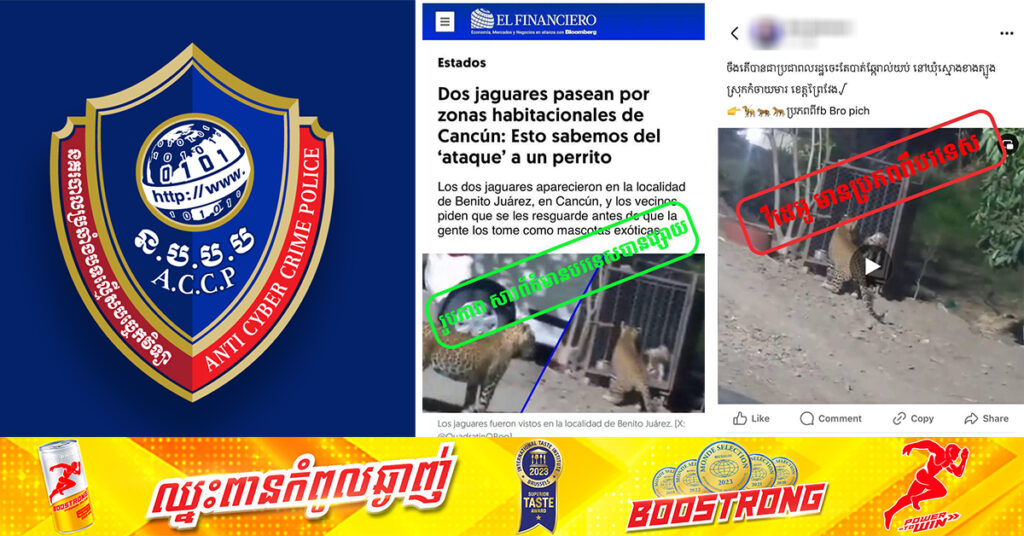 នាយកដ្ឋានប្រឆាំងបទល្មើសបច្ចេកវិទ្យា បញ្ជាក់ថា វីដេអូដែលគេបង្ហោះថាមានសត្វខ្លាចង់ខាំសត្វឆ្កែ ក្នុងស្រុកកំចាយមារ ខេត្តព្រៃវែង ជាវីដេអូមានប្រភពមកពីបរទេស មិនមែននៅកម្ពុជាទេ