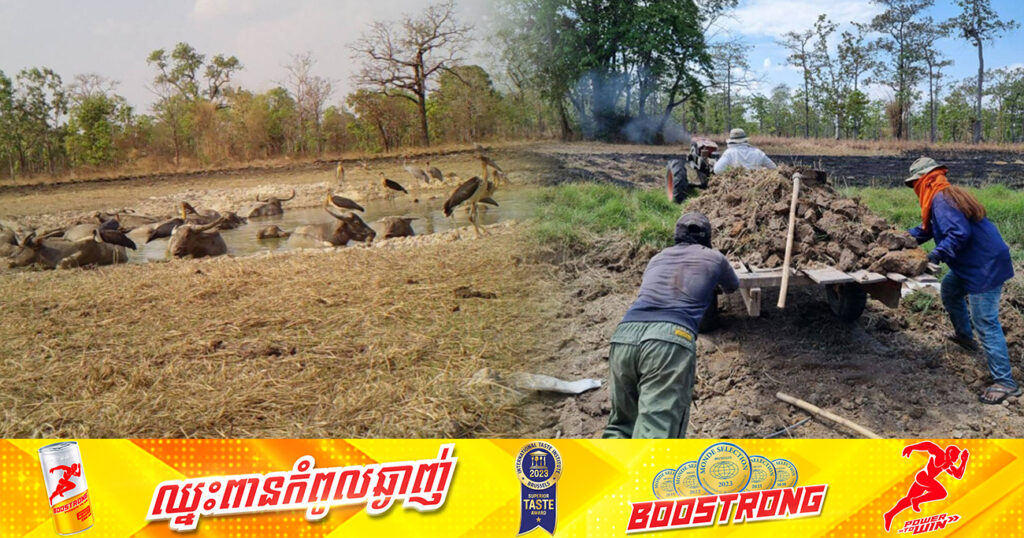 ស្តារត្រពាំងទឹកនៅតំបន់ការពារធម្មជាតិសៀមប៉ាង និងលំផាត់ ដើម្បីឱ្យសត្វព្រៃបានផឹក និងរកចំណីនារដូវប្រាំង