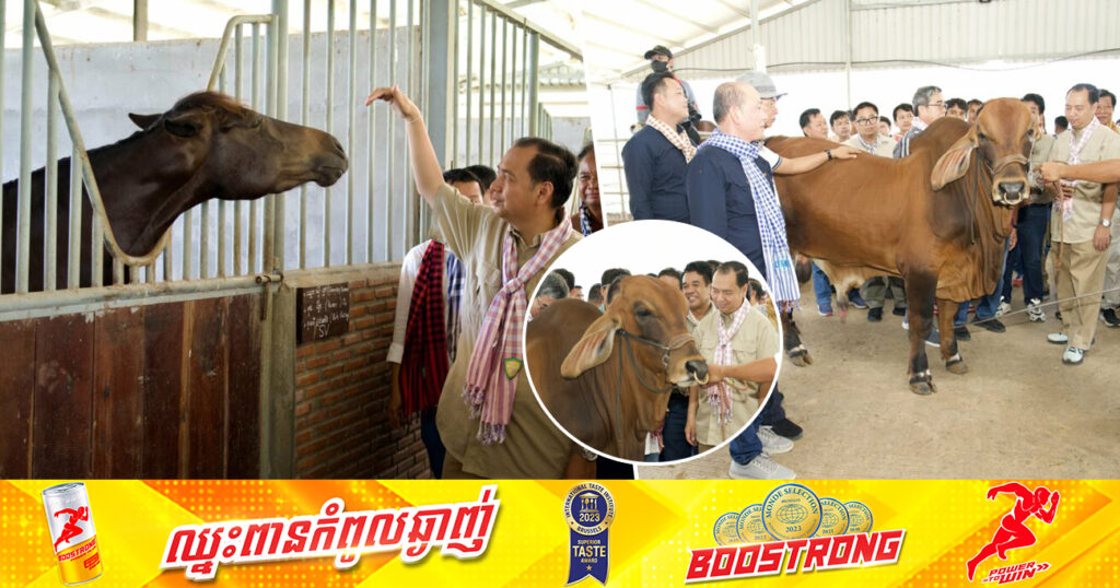 រដ្ឋមន្រ្តីក្រសួងព័ត៌មាន បញ្ជាក់ថាការបង្កើតកសិដ្ឋានចិញ្ចឹមគោ និងសេះ នៅខេត្តកែប ក៏ជាការកើតនូវសក្តានុពលទេសចរណ៍ថ្មីមួយទៀតនៅក្នុងខេត្ត