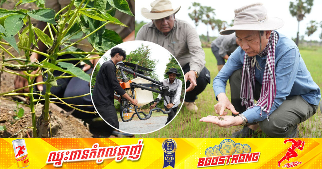 ក្រសួងកសិកម្ម អំពាវនាវឱ្យប្រជាកសិករជួបប្រទះ នឹងដង្កូវកំពុងបំផ្លាញដំណាំស្រូវ ត្រូវរាយការណ៍ទៅអាជ្ញាធរមូលដ្ឋានឱ្យបានឆាប់ដើម្បីបាញ់ថ្នាំកម្ចាត់ចោល