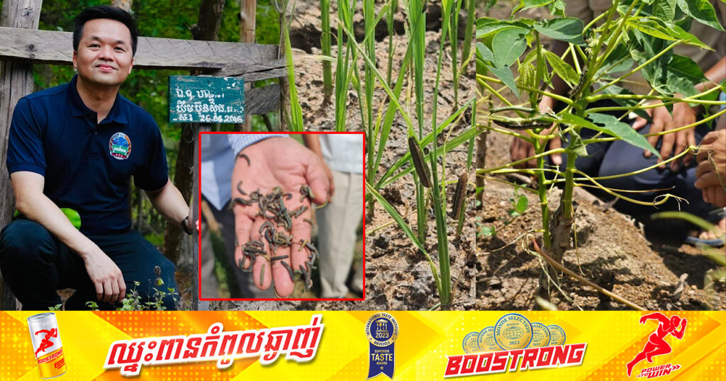 ឯកឧត្តម ឃឹម ហ្វីណង់៖ ករណីផ្ទុះដង្កូវហ្វូង បានរីករាលដាលដល់១២ខេត្តហើយ រហូតមកដល់ពេលនេះ
