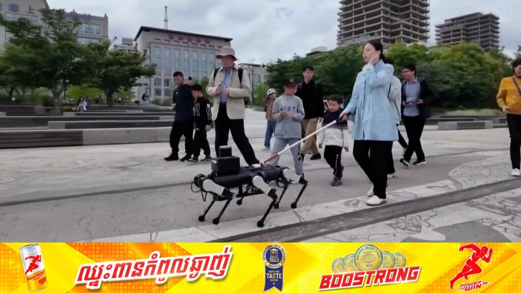 ចិនកំពុងអភិវឌ្ឍឆ្កែយន្តឆ្លាតវ័យដើម្បីជួយសម្រួលការធ្វើដំណើររបស់ក្រុមពលរដ្ឋពិការភ្នែក