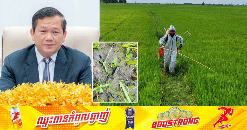 សម្តេចធិបតី ហ៊ុន ម៉ាណែត ណែនាំឱ្យក្រសួងពាក់ព័ន្ធ ចុះជួយកសិករ ដែលរងគ្រោះពីការផ្ទុះឡើងនូវសត្វល្អិតចង្រៃបំផ្លាញផលដំណាំ