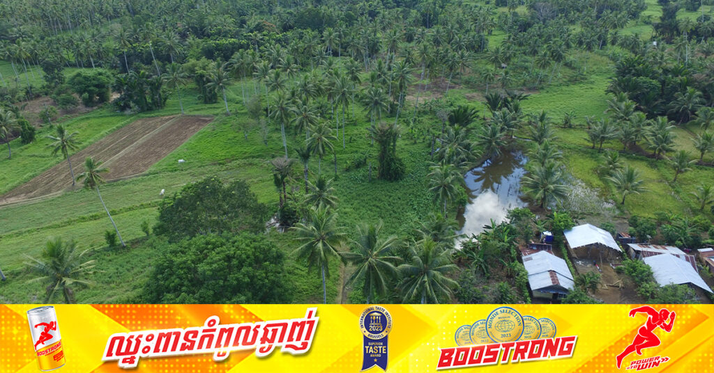 ស្រ្តីឥណ្ឌូនេស៊ីម្នាក់បានបាត់បង់ជីវិត ក្រោយពស់ថ្លាន់មួយក្បាលបានលេបគាត់ទាំងមូល