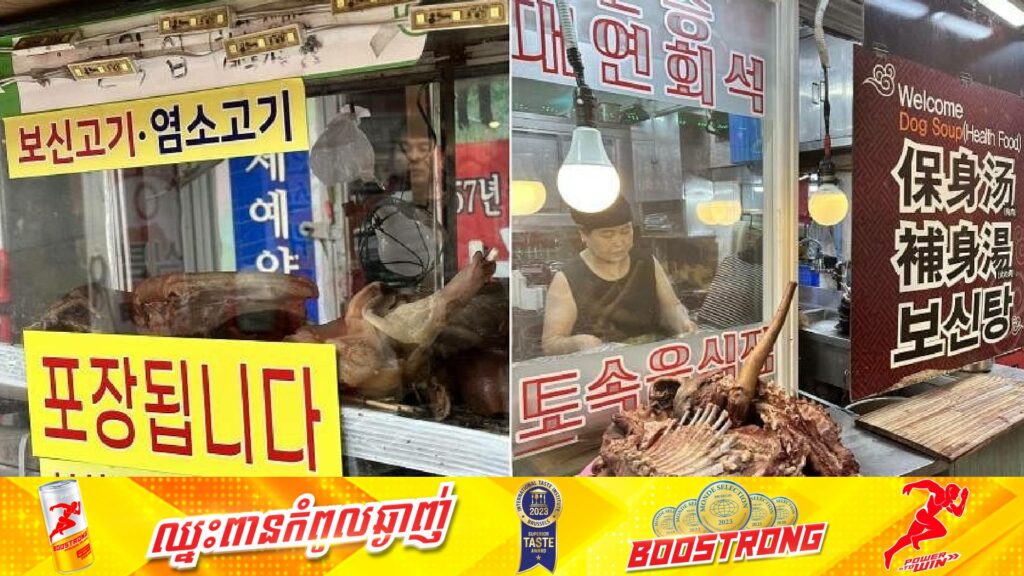 កូរ៉េខាងត្បូង នឹងអនុវត្តច្បាប់ពិន័យអ្នកចែកចាយសាច់ឆ្កែជាប្រាក់ជាង ២ម៉ឺនដុល្លារ ឬដាក់ពន្ធនាគាររហូតដល់ ៣ឆ្នាំ