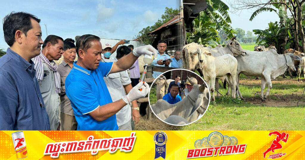 មន្រ្តីបសុពេទ្យខេត្តតាកែវ អំពាវនាវដល់បងប្អូនប្រជាពលរដ្ឋ ដែលចិញ្ចឹមគោ ក្របី សូមនាំមកចាក់វ៉ាក់សាំងការពារជំងឺសារទឹក និងអុតក្ដាមដោយឥតគិតថ្លៃ