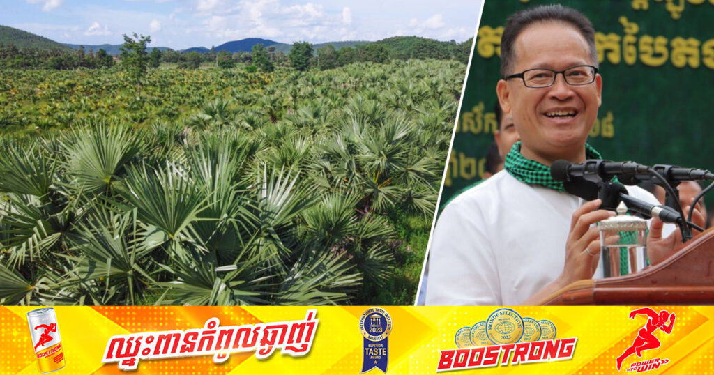 រដ្ឋមន្រ្តីក្រសួងបរិស្ថាន ជំរុញឱ្យដាំត្នោតជាជួរ ឱ្យបានច្រើនជាពិសេសនៅតាមតំបន់ព្រំដែន និងដាំតាមតំបន់មួយចំនួនទៀត ដើម្បីភាពបៃតង និងរបងដ៏រឹងមាំសម្រាប់ការពារកម្ពុជា​