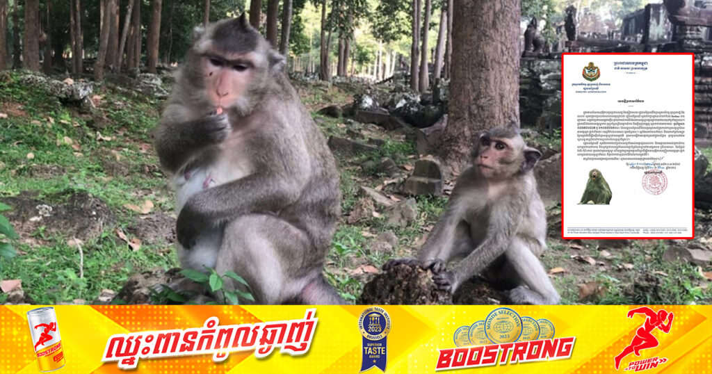 រដ្ឋបាលព្រៃឈើ ផ្ដល់លេខទំនាក់ទំនងHotline សម្រាប់ប្រជាពលរដ្ឋអាចប្តឹង ឬរាយការណ៍ករណីដែលមានសត្វស្វាកាច ឬស្វាចំនួនច្រើនបង្កការរំខាន