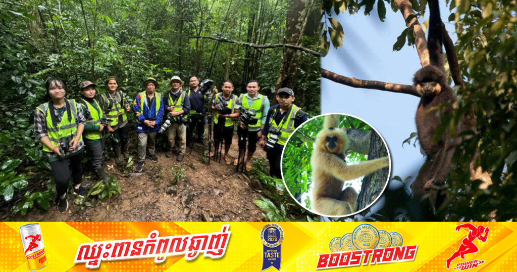 ជំរំទោចថ្ពាល់លឿង ក្នុងសហគមន៍អណ្តូងក្រឡឹងរកចំណូលបានជិត ១៧ម៉ឺនដុល្លារពីអេកូទេសចរណ៍