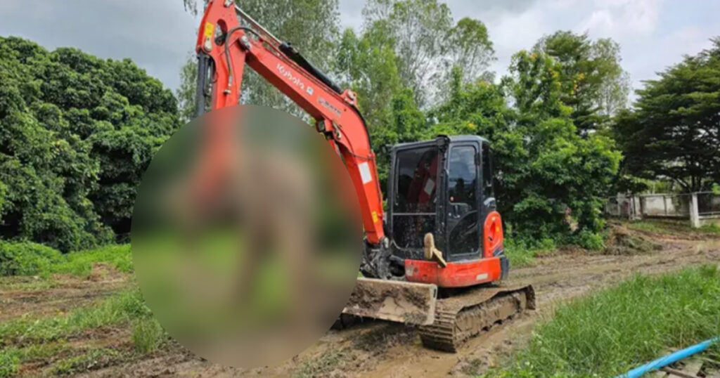 ទឹកជំនន់នៅថៃ បុរសម្ចាស់កសិដ្ឋានម្នាក់កម្ទេចសត្វក្រពើចោលអស់មួយកសិដ្ឋាន ដើម្បីការពារសុវត្ថិភាពរបស់ប្រជាពលរដ្ឋនៅក្នុងភូមិខ្លួន