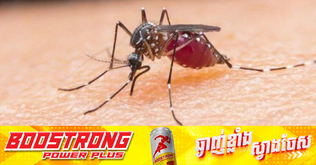 អេហ្ស៊ីបក្លាយជាប្រទេសដែលគ្មានជំងឺគ្រុនចាញ់ ក្រោយខំប្រឹងប្រែងទប់ស្កាត់អស់រយៈពេល ១០០ឆ្នាំ