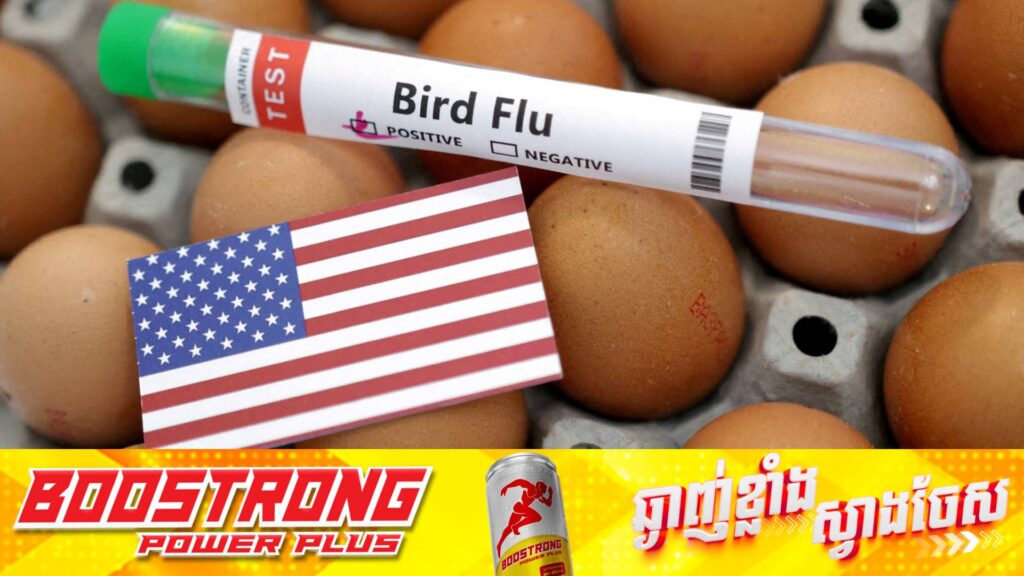 អាមេរិករកឃើញករណីមានក្មេងប្រុសម្នាក់ឆ្លងជំងឺផ្តាសាយបក្សីជាលើកដំបូង