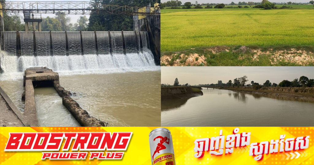 ស្រូវប្រាំងជិត ២ពាន់ហិកតា ត្រូវបានជួយសង្រ្គោះតាមរយៈប្រព័ន្ធធារាសាស្រ្ត​របស់អាជ្ញាធរជាតិអប្សរា