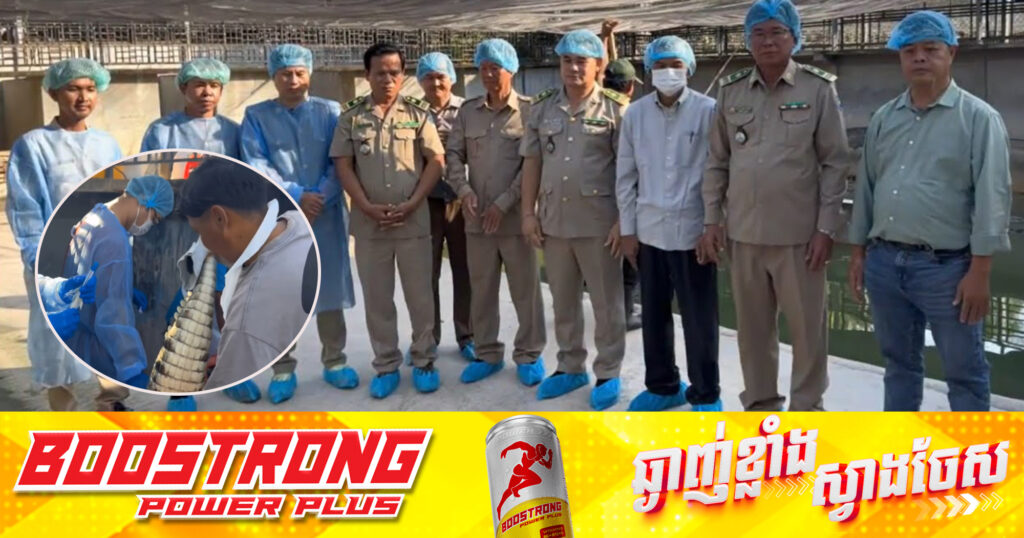 មន្ដ្រីជំនាញកម្ពុជា ចុះយកសំណាកក្រពើដើម្បីវិភាគរកមេរោគ មុននឹងនាំចេញក្រពើរស់ ទៅកាន់សាធារណរដ្ឋប្រជាមានិតចិន