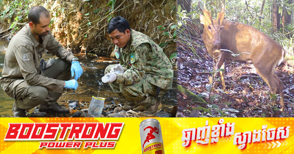ការសិក្សាស្រាវជ្រាវស្តីពី ជីវៈចម្រុះនៅឧទ្យានជាតិវីរៈជ័យ បានបង្ហាញថាប្រភេទសត្វរងការគំរាមកំហែងជាច្រើនដែលមានវត្តមានរស់នៅក្នុងតំបន់ការពារធម្មជាតិមួយនេះ