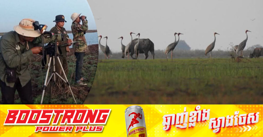 អង្គការ NatureLife បង្ហាញលទ្ធផលជំរឿនក្រៀល ប្រចាំខែធ្នូ ឆ្នាំ២០២៤ នៅតំបន់ដីសណ្ដរមេគង្គក្រោម