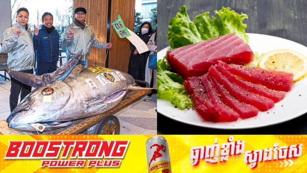 ត្រីធូណានៅប្រទេសជប៉ុន ដាក់លក់ក្នុងតម្លៃជាង១,៣លានដុល្លារក្នុងមួយក្បាល