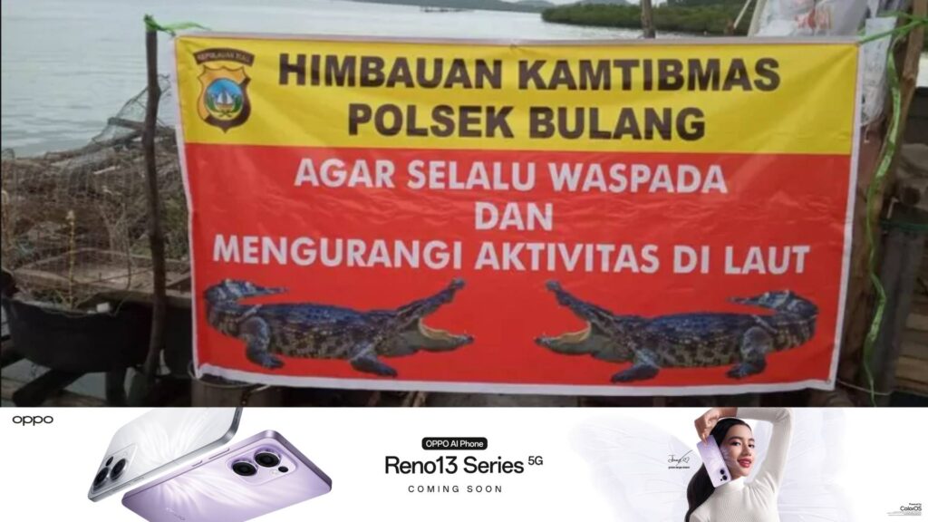 អាជ្ញាធរឥណ្ឌូណេស៊ីសម្រេចបិទកសិដ្ឋានចិញ្ចឹមក្រពើមួយកន្លែងជាបន្ទាន់ ក្រោយបណ្តោយឱ្យរួចសត្វក្រពើអស់ជាង ១០០ក្បាល