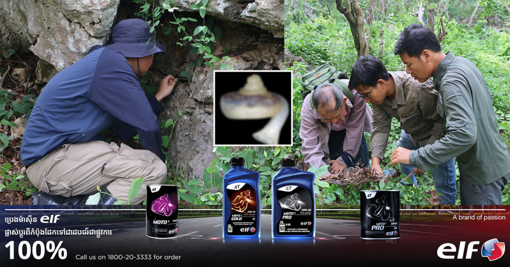 ការរកឃើញកំណត់ត្រាថ្មីសម្រាប់ពិភពលោកនៃប្រភេទខ្យងគោក នៅប្រទេសកម្ពុជា