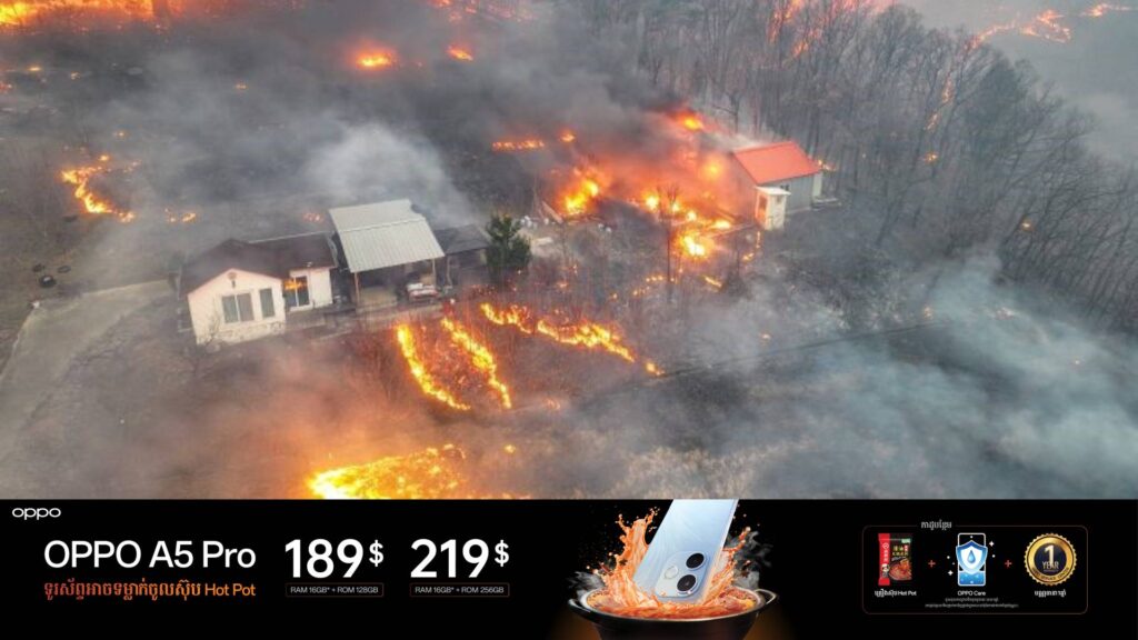 តួលេខអ្នកបាត់បង់ជីវិតដោយសារភ្លើងឆេះព្រៃនៅកូរ៉េខាងត្បូង កើនឡើងដល់ ២៤នាក់