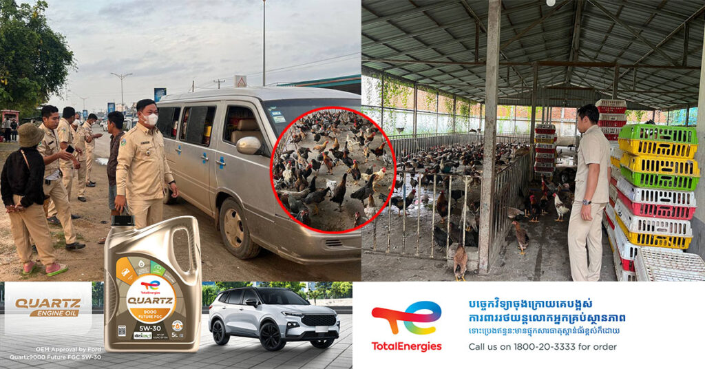មន្ត្រីជំនាញ ចុះឃាត់ចាប់រថយន្តមួយគ្រឿងដឹកសត្វមាន់ចំនួន ៦៦០ក្បាល ចេញពីប្រទេសវៀតណាមឆ្ពោះមកលក់ចែកចាយនៅភ្នំពេញ ដោយគ្មានលិខិតអនុញ្ញាត