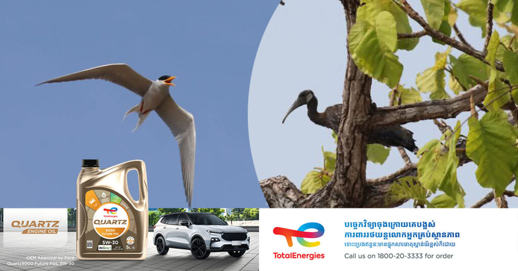 ក្រុមការងារអង្គការ WWF រកឃើញកូនសត្វរំពេទន្លេ និងកូនសត្វត្រយងចង្កំក-ស ហើរជាលើកដំបូងនៅតំបន់ទេសភាពព្រៃលិចទឹកមេគង្គ