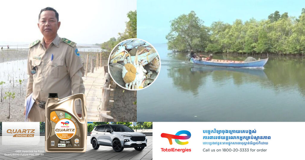 ស្ថានីយភ្ញាស់ក្តាមសេះនៅសហគមន៍នេសាទភូមិថ្មី កំពុងដំណើរការភ្ញាស់ក្តាមមេពង សម្រាប់រក្សាស្ថេរភាពក្តាមក្នុងសមុទ្រ
