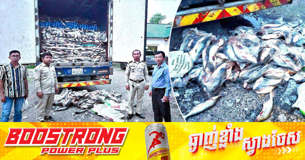 ត្រីក្លាសេប្រមាណជាង ០២តោន នាំចូលពីប្រទេសថៃដោយគ្មានលិខិតអនុញ្ញាតិ ត្រូវបានមន្រ្តីជំនាញស្ទាក់ឃាត់បាននៅស្រុកបវេលខេត្តបាត់ដំបង