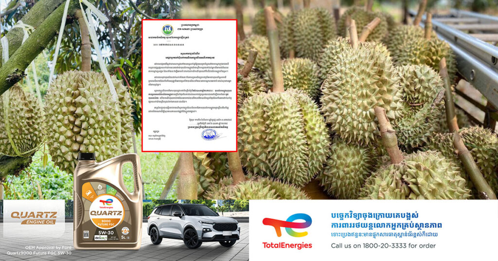 សហគមន៍កសិកម្ម ទុរេនបែកអន្លូងស្ទឹងត្រង់ បញ្ជាក់ថា ទុរេនបែកអន្លូងភាគច្រើនមិនទាន់ដល់ពេលកាត់ប្រមូលផលបាននៅឡើយទេ
