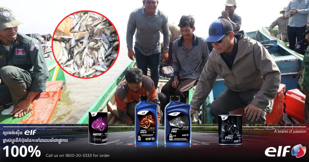 អភិបាលខេត្តពោធិ៍សាត់ កត់សម្គាល់ឃើញថា ត្រី នៅតំបន់បឹងទន្លេសាបកំពុងចាប់ផ្តើមសម្បូរឡើងវិញ