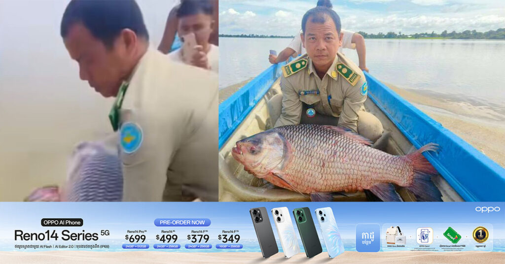 ត្រីគល់រាំងទម្ងន់ជាង ២០គីឡូក្រាម មន្ត្រីជំនាញលែងចូលទៅក្នុងទន្លេមេគង្គវិញ