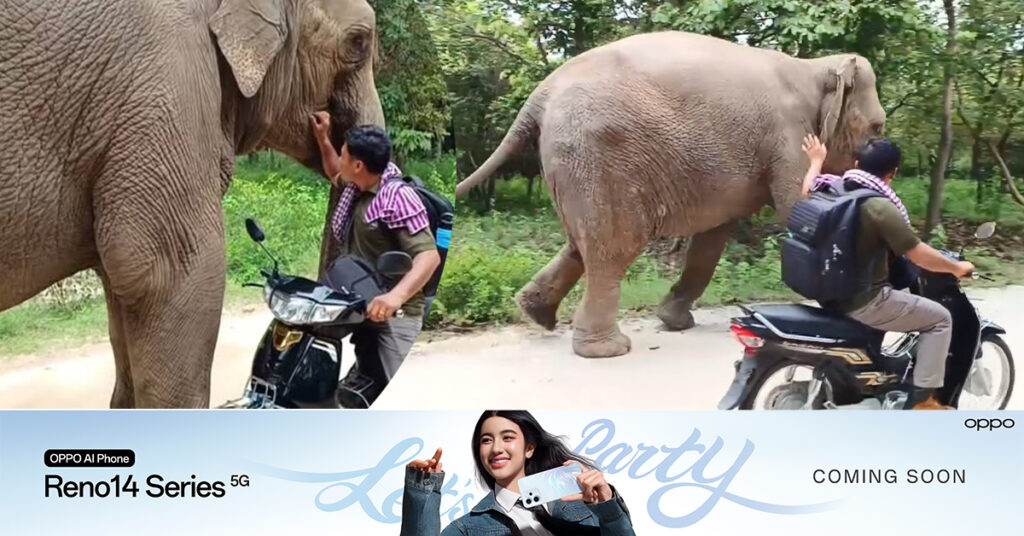 មហាជនក្តុកក្តួលចិត្ត! ក្រោយឃើញ ដំរីឡាក់គី ខំរត់តាមឃាត់ផ្លូវ លោក ទ្រី ស៊ីថេង​ ដែលមើលថែខ្លួនរយៈពេល៣០ឆ្នាំ កុំឱ្យលោកចាកចេញទៅ