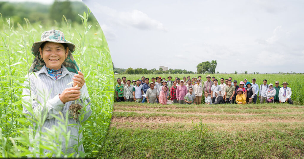កសិករខ្មែរឈានទៅរកកសិកម្មប្រកបដោយនិរន្តរភាពជាមួយការដាំដំណាំគម្របដីក្រោមការគាំទ្រពីក្រុមហ៊ុន ហ៊ិននីគែន ខេមបូឌា និងអង្គការ CIRD