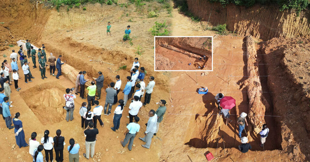 ដើមឈើអាយុកាលចន្លោះពី ១០ម៉ឺនឆ្នាំ ទៅ ២លានឆ្នាំ ត្រូវបានកំណាយរកឃើញនៅស្រុកសេសាន