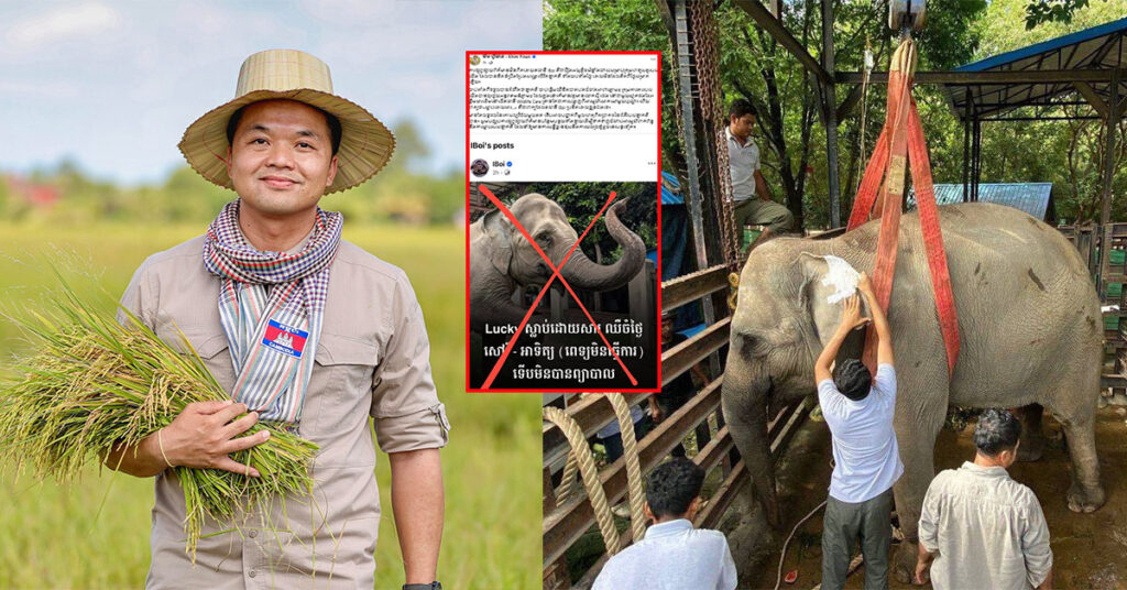 លោក ឃីម ហ្វីណង់ ៖ មានតែលទ្ធផលនៃកោសល្យវិច័យមួយគត់ ទើបអាចបញ្ជាក់ពីមូលហេតុពិតប្រាកដនៃជំងឺរបស់ឡាក់គីបាន