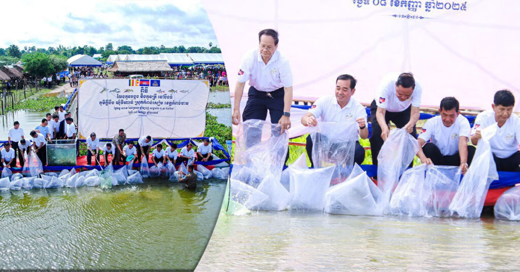 អភិបាលខេត្តកំពង់ចាម លែងកូនត្រី និងកូនបង្កងជិត ១០ម៉ឺនកូន នៅក្នុងតំបន់បឹងធំ