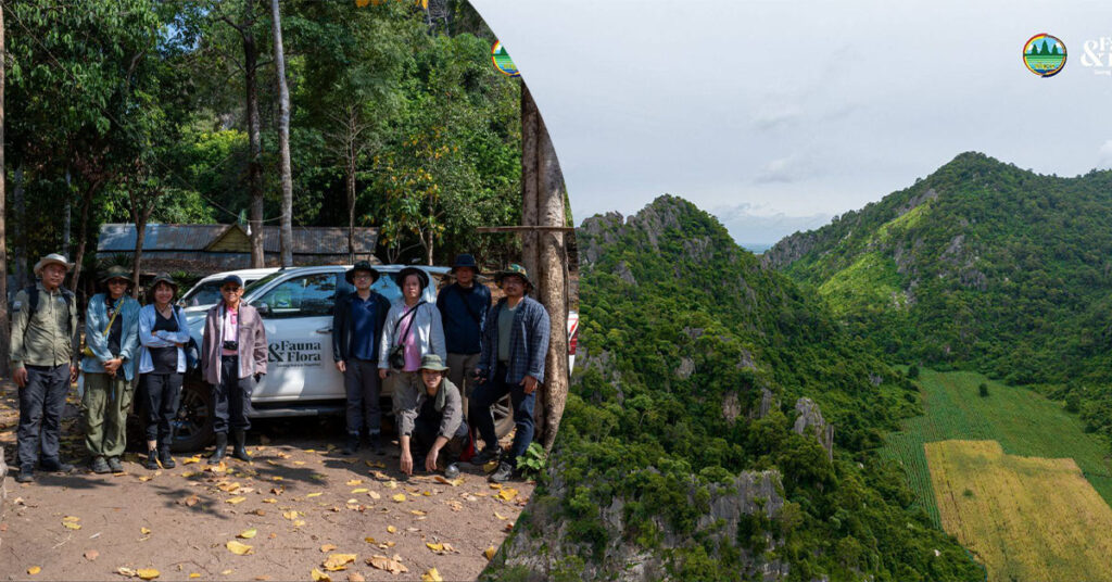 រកឃើញសត្វម្រើមព្រះចំនួន ៣ប្រភេទ ជាកំណត់ត្រាថ្មីសម្រាប់ពិភពលោក នៅតំបនភ្នំថ្មកំបោរ ក្នុងខេត្តបាត់ដំបង និងខេត្តកំពត
