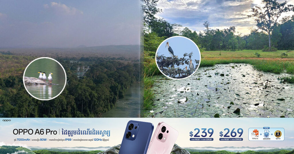 សត្វព្រៃកម្រជាច្រើនប្រភេទ ត្រូវបានរកឃើញនៅតំបន់ព្រៃ និងតំបន់ទំនាបលិចទឹក ក្នុងភូមិសាស្រ្តខេត្តក្រចេះ និងស្ទឹងត្រែង