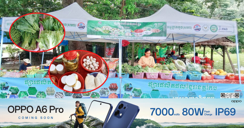 ផ្សារផលិតផលខ្មែរខេត្តកែប កំពុងដាក់លក់ បន្លែ ត្រី សាច់ និងគ្រឿងទេសជាច្រើនមុខ