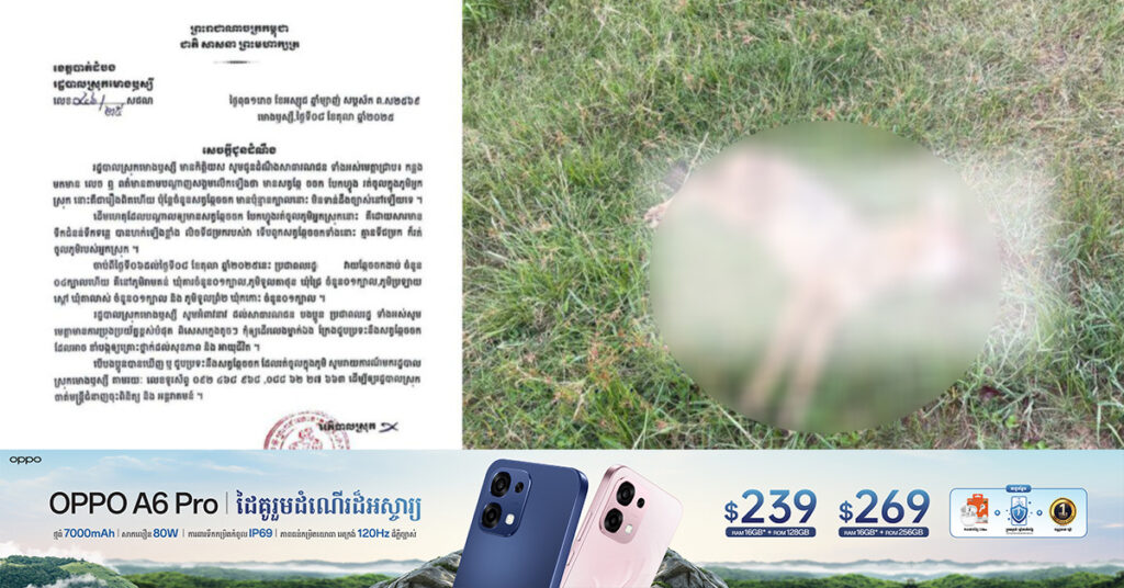 អាជ្ញាធរស្រុកមោងឬស្សីហាមក្មេងតូចៗ កុំឱ្យដើរលេងម្នាក់ឯង ខណៈសត្វ​ឆ្កែចចក​ បែកហ្វូងរត់ចូល​ ភូមិអ្នកស្រុក​