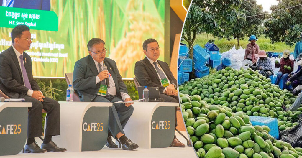 ក្រសួងពាណិជ្ជកម្ម និងក្រសួងកសិកម្ម សហការគ្នារៀបចំគោលនយោបាយដំណាំស្វាយ ដើម្បីត្រួតពិនិត្យផ្ទៃដីដាំដុះ និងទិន្នផល