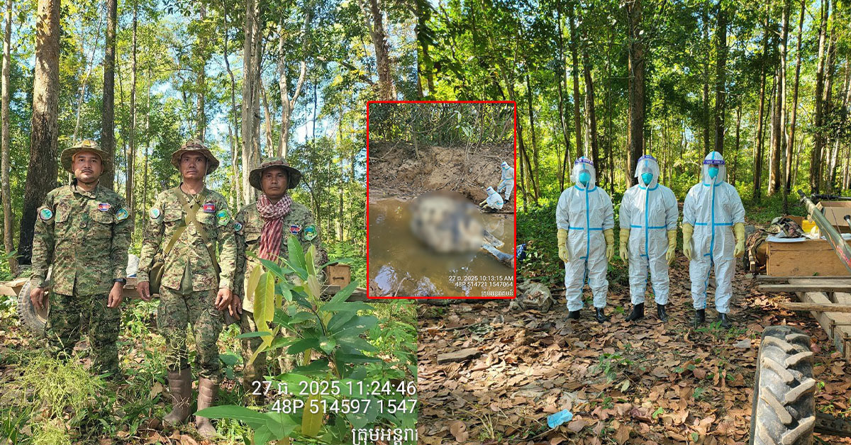 ក្រសួងបរិស្ថាន បន្តចុះយកសំណាកស-ពដំរីមេ និងកូនដែលបាត់បង់ជីវិត ដោយសារអំបែងគ្រា-ប់ផ្លោងនៅខេត្តព្រះវិហារ