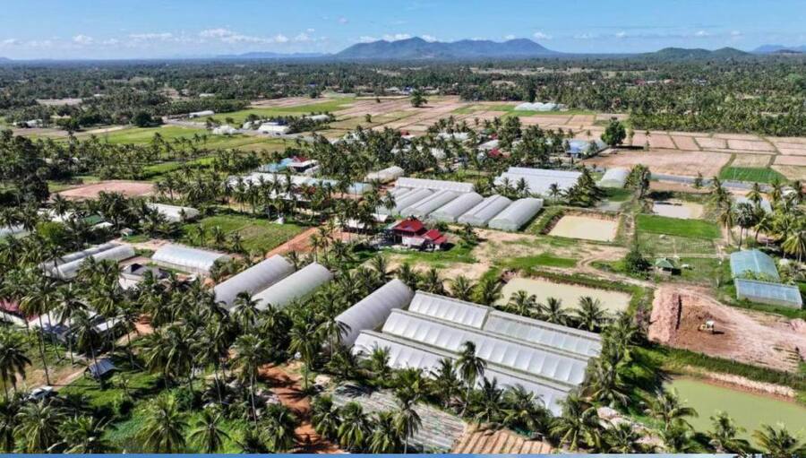 សហគមន៍កសិកម្មទំនើប